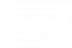 gallery/official selection - top indie film awards - 2020